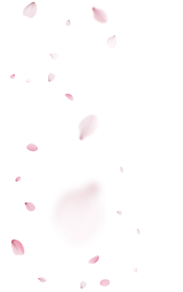sakura